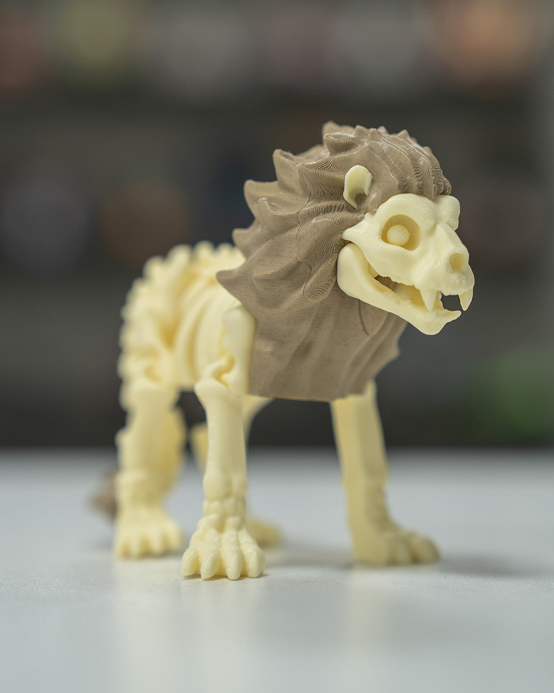 Leo the Skeleton Lion