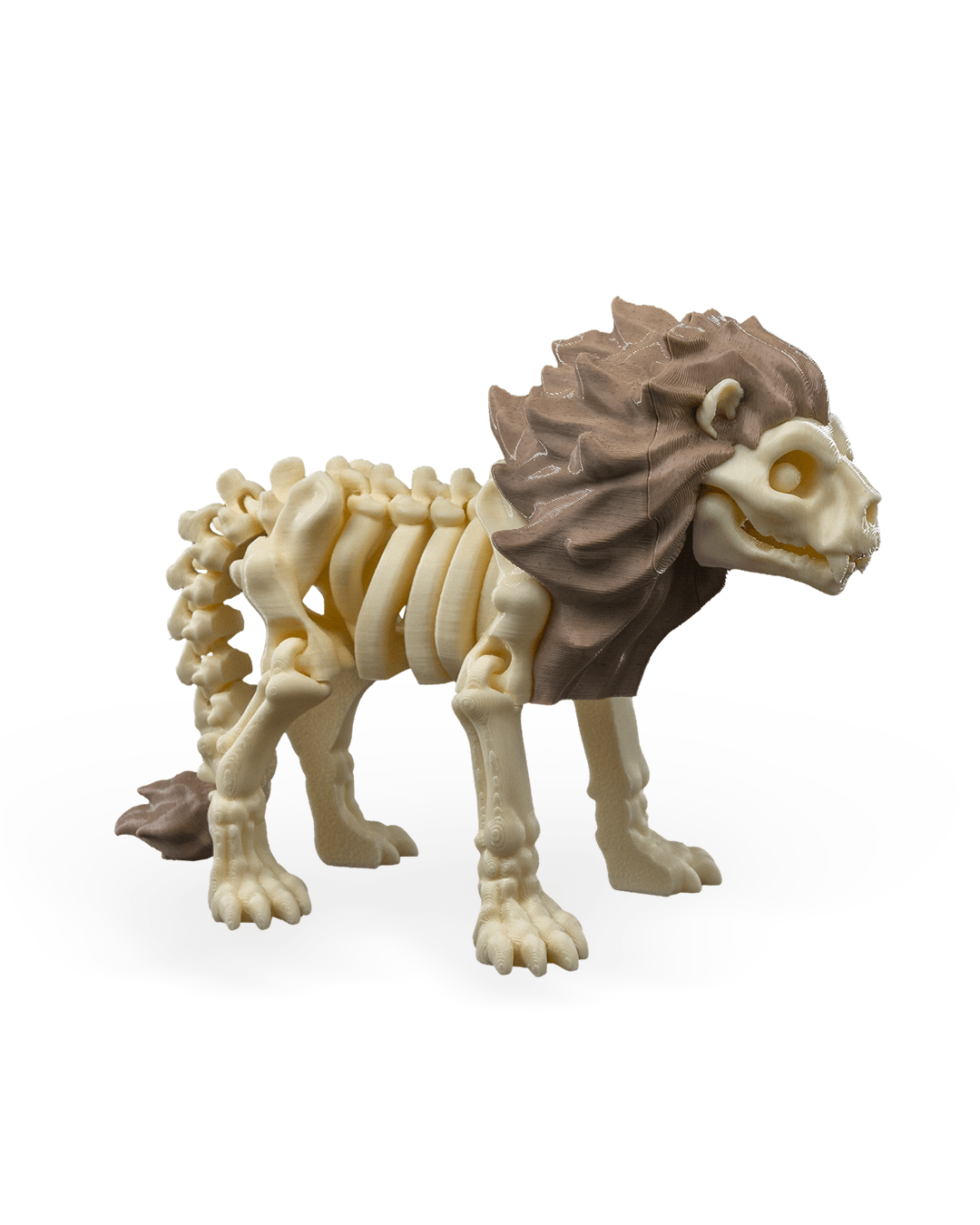 Leo the Skeleton Lion