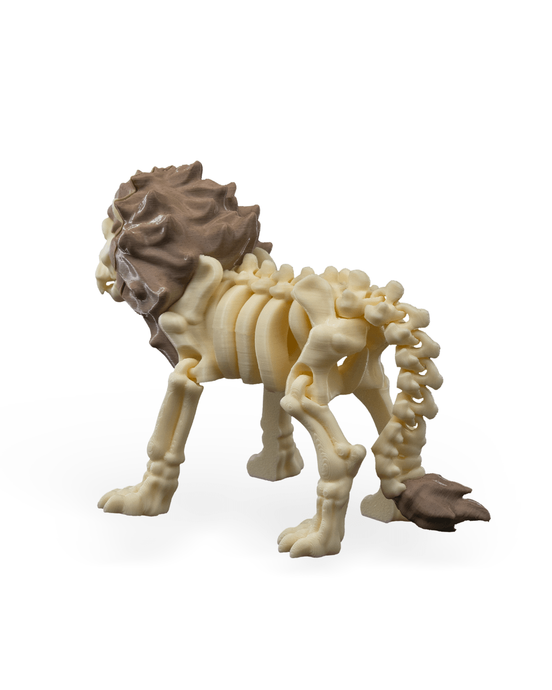 Leo the Skeleton Lion