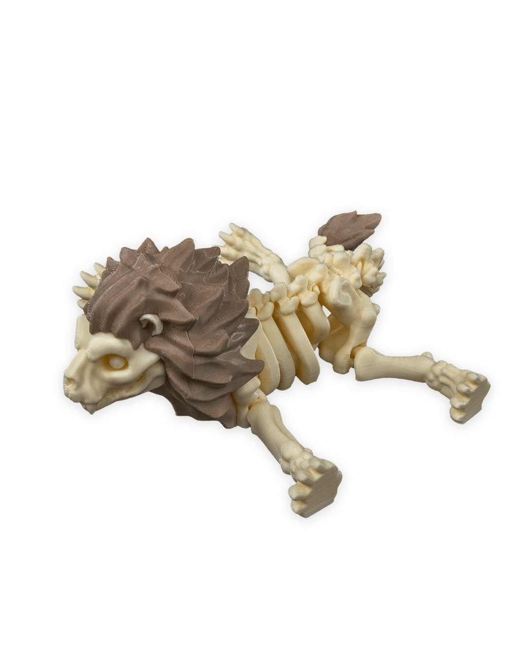 Leo the Skeleton Lion