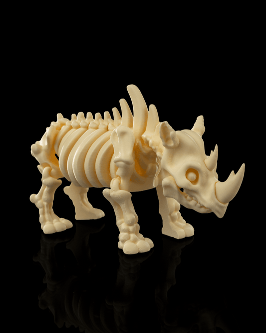 Rocky the Skeleton Rhino