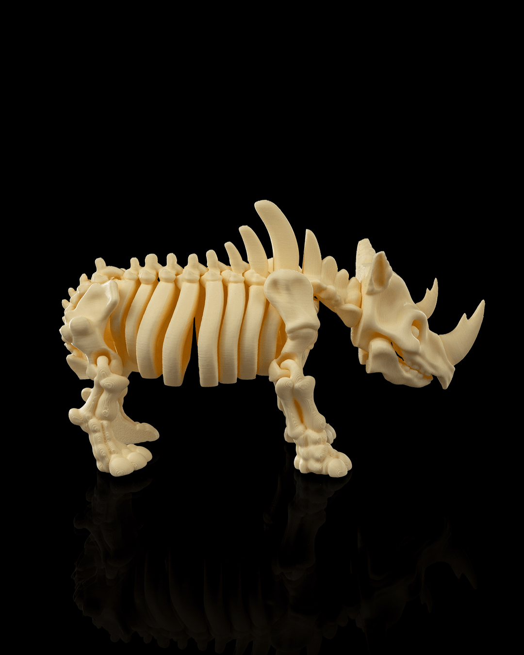 Rocky the Skeleton Rhino