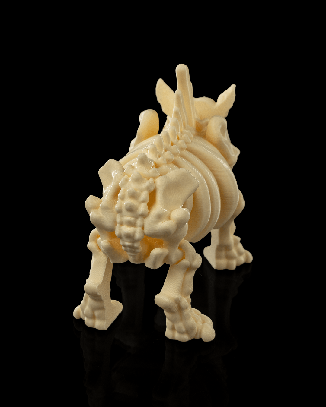 Rocky the Skeleton Rhino