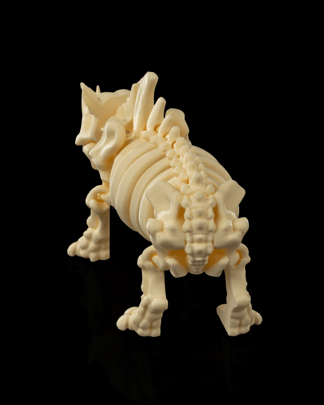 Rocky the Skeleton Rhino