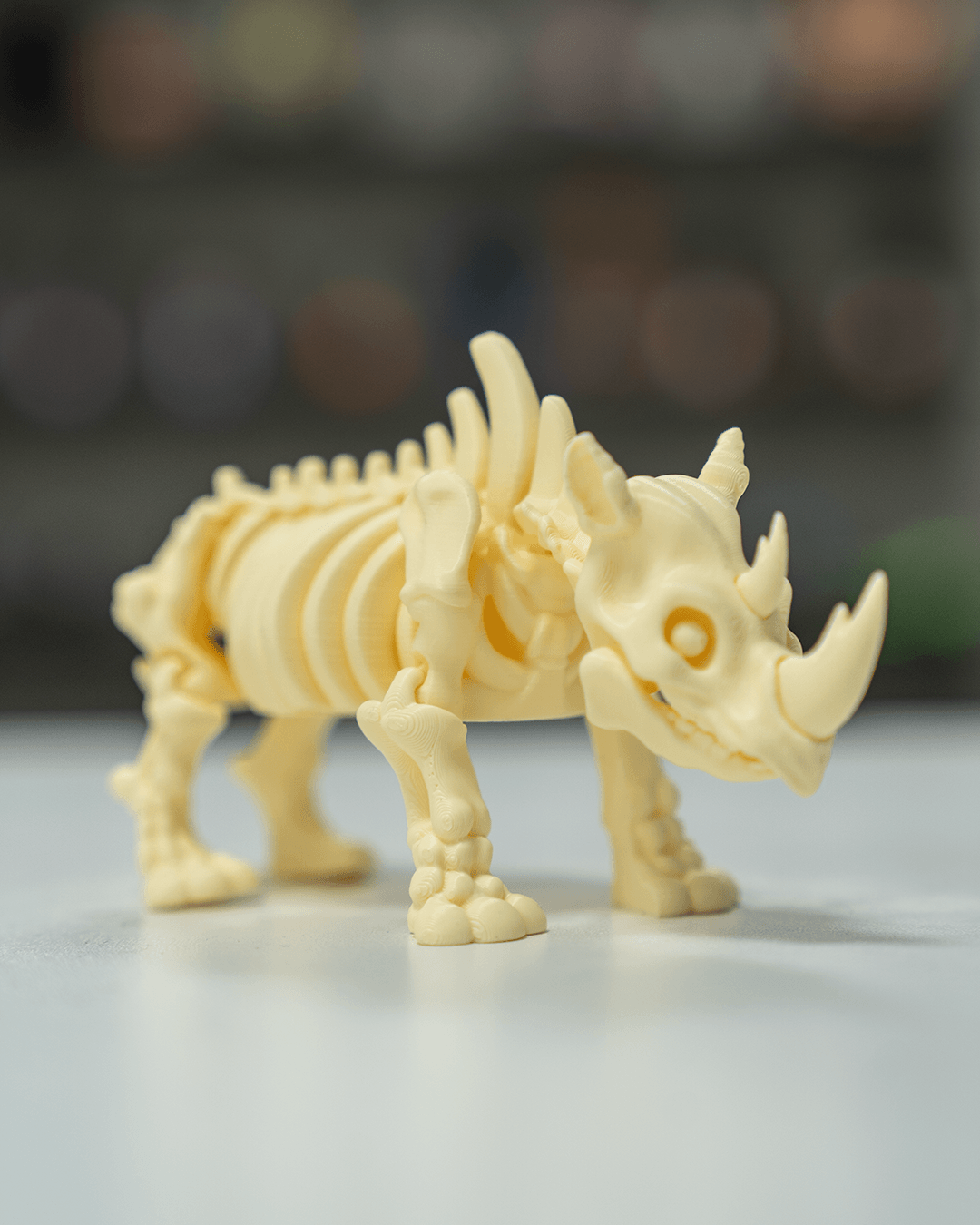 Rocky the Skeleton Rhino