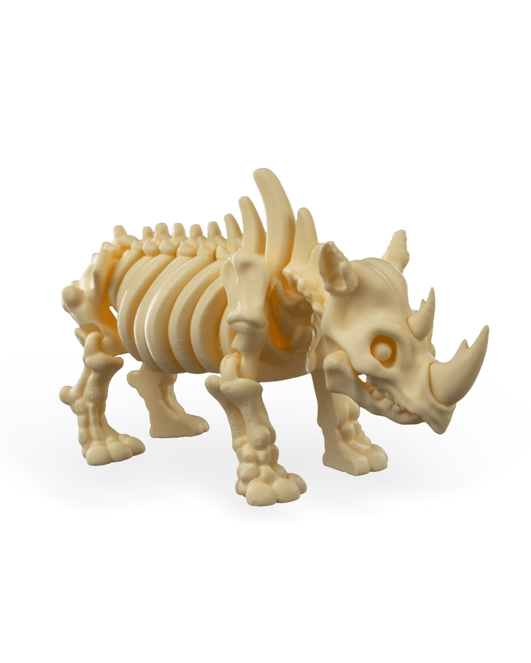 Rocky the Skeleton Rhino