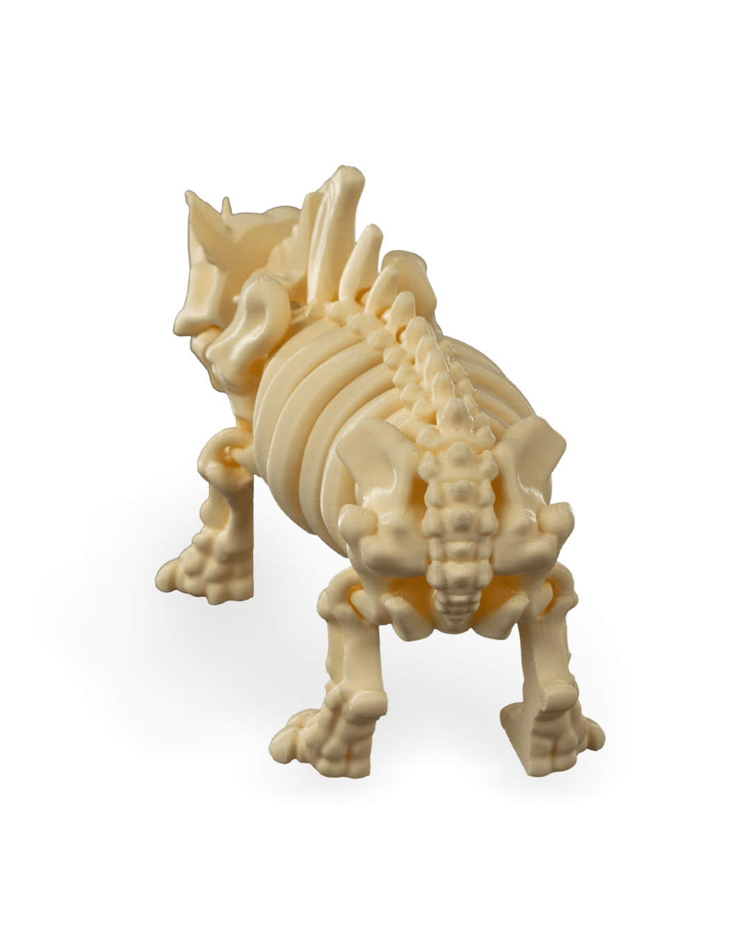 Rocky the Skeleton Rhino