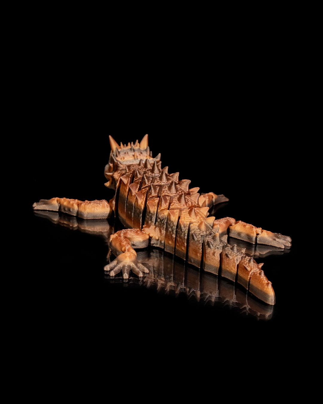 Terry the Thorny Devil