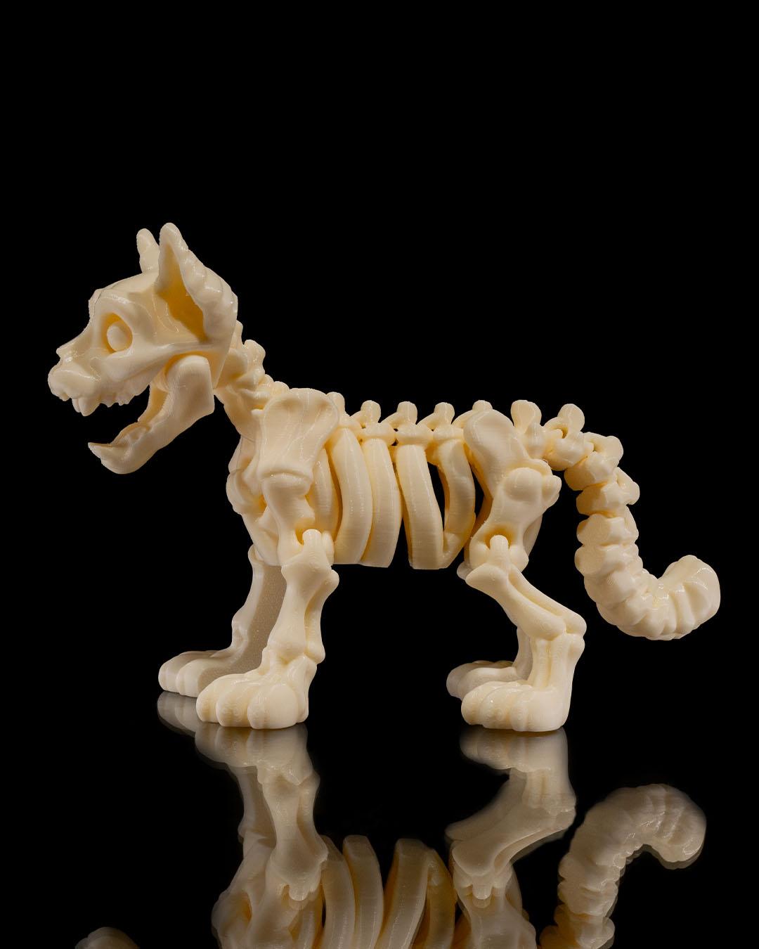 Skeleton Cat- Articulated Toy