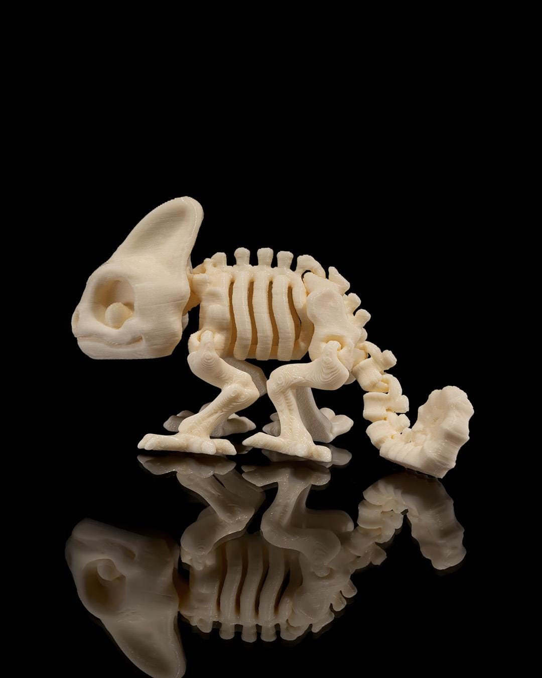 Skeleton Chameleon - Articulated Toy