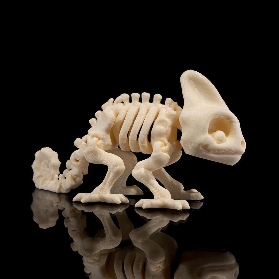 Skeleton Chameleon - Articulated Toy