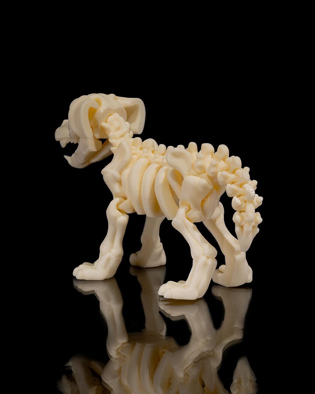 Skeleton Puppy - Articulated Toy