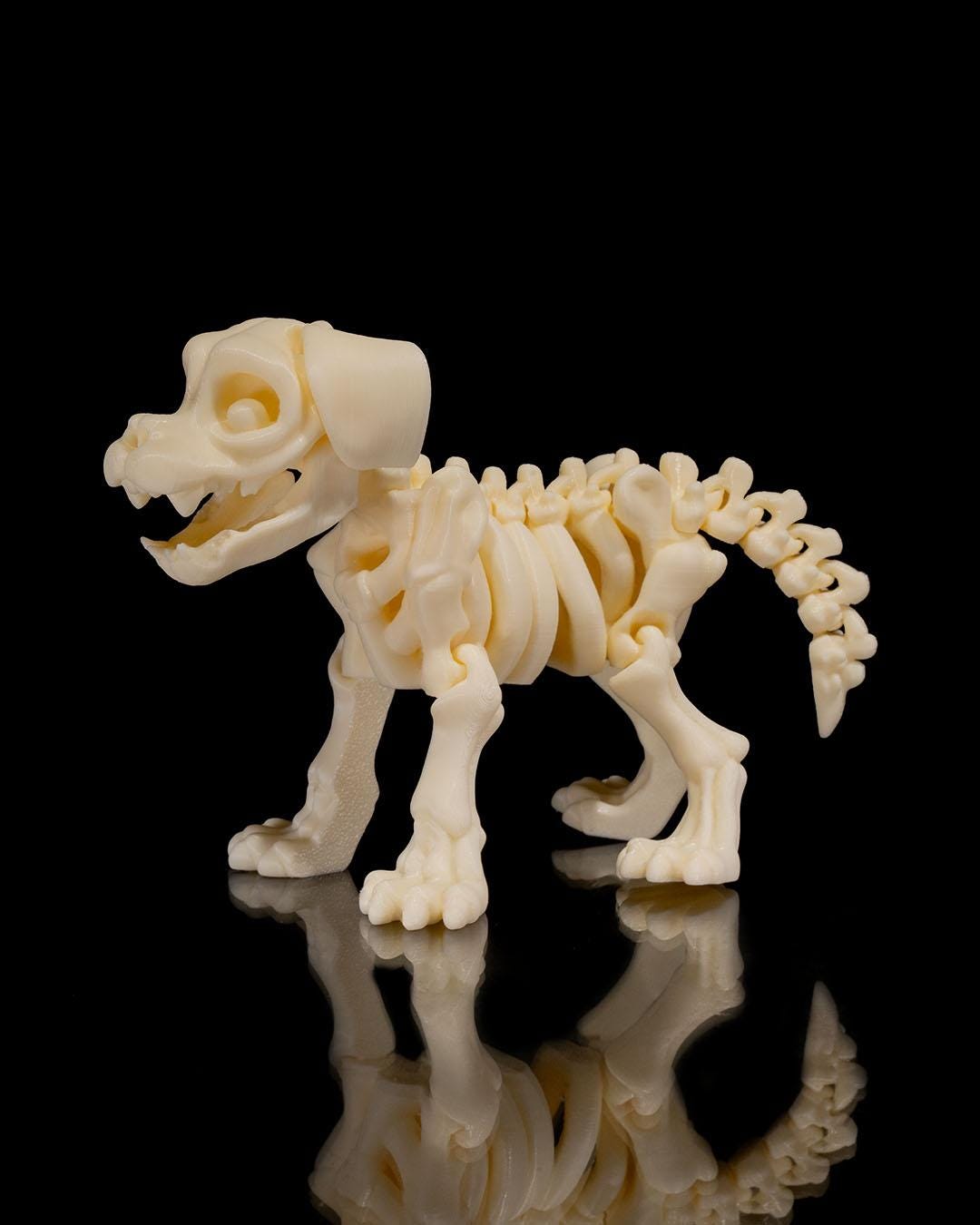 Skeleton Puppy - Articulated Toy