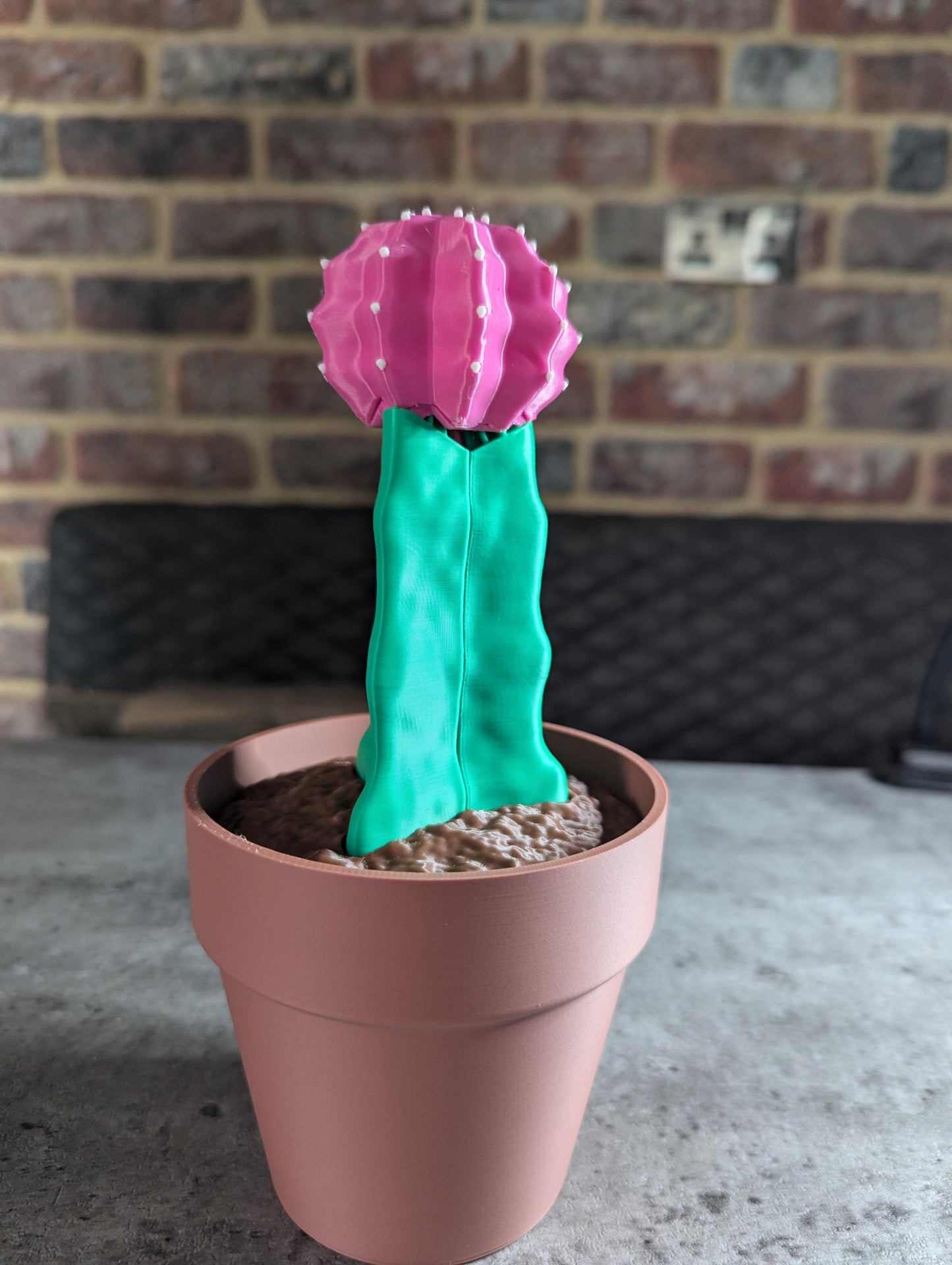 Moon Cactus Phone Holder