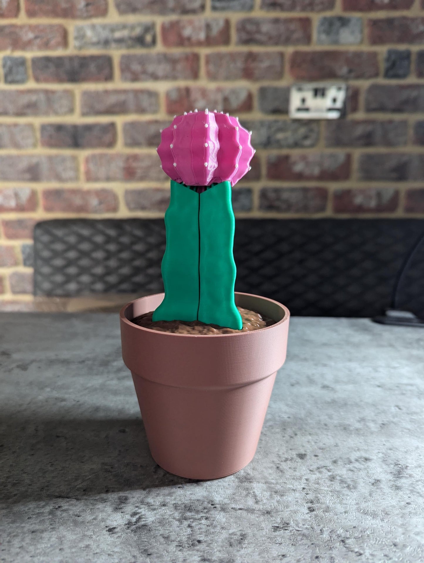 Moon Cactus Phone Holder