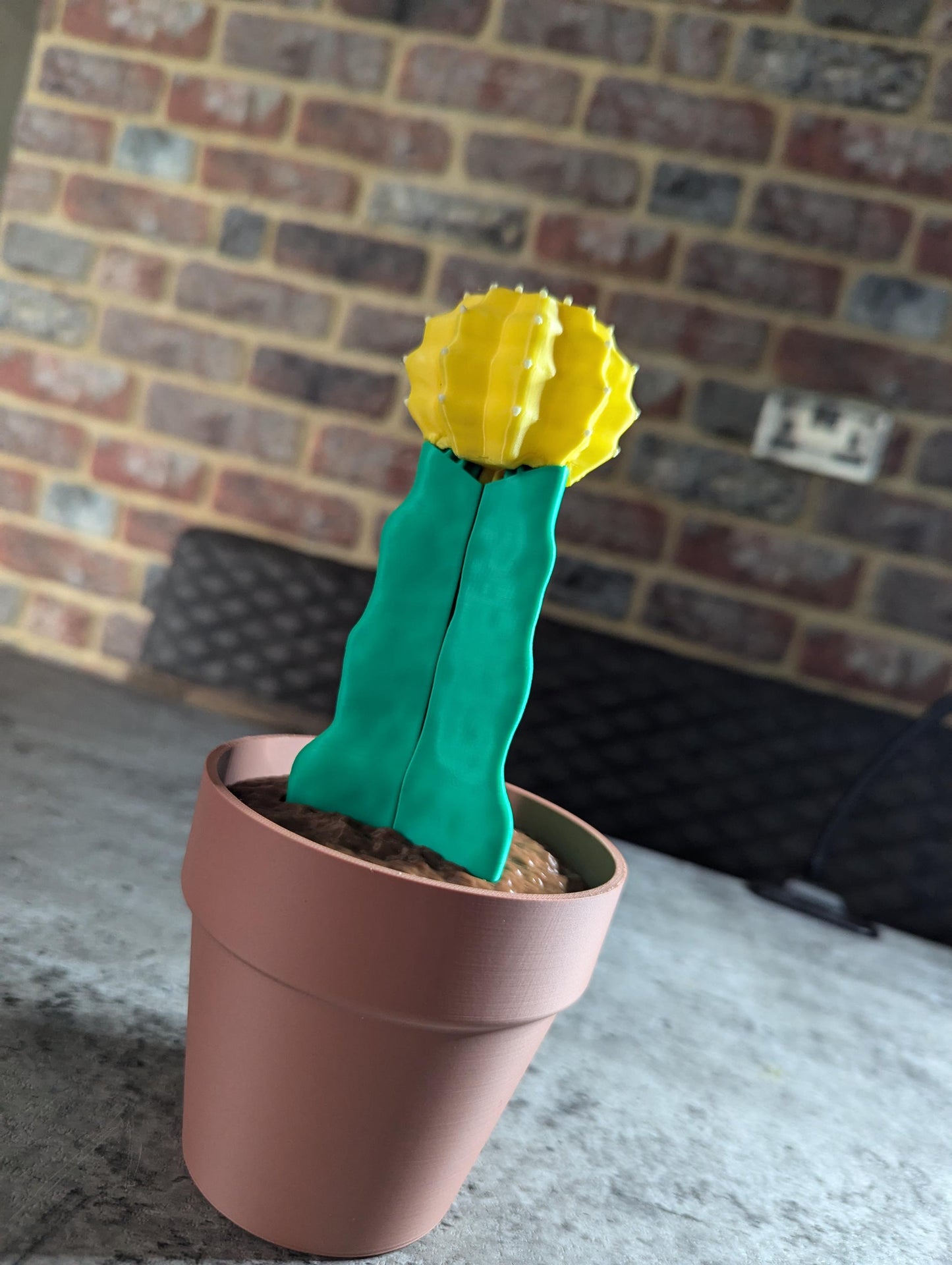 Moon Cactus Phone Holder