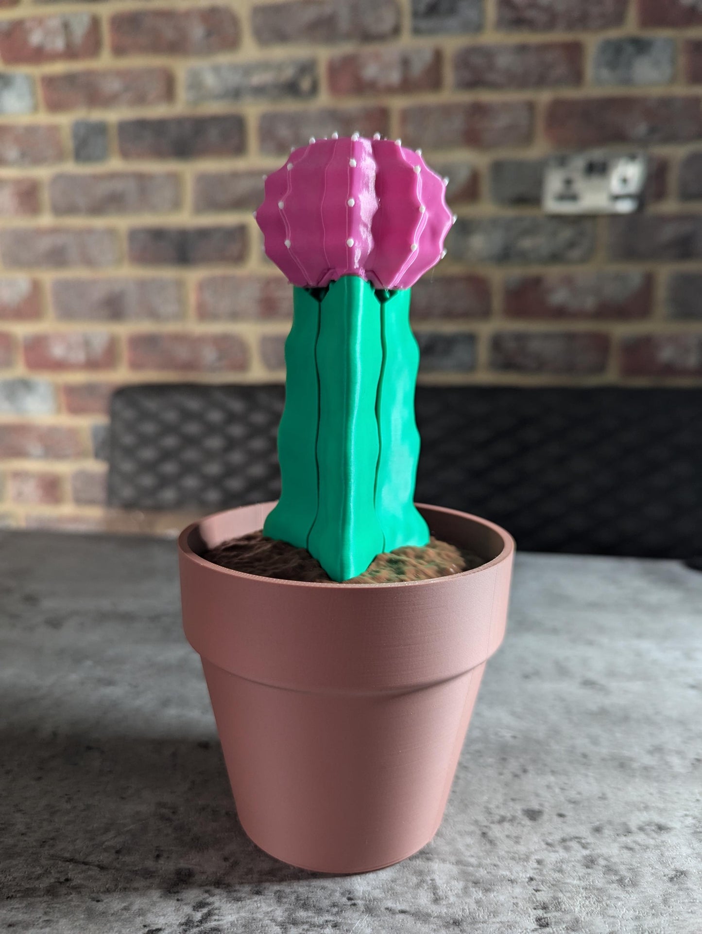 Moon Cactus Phone Holder