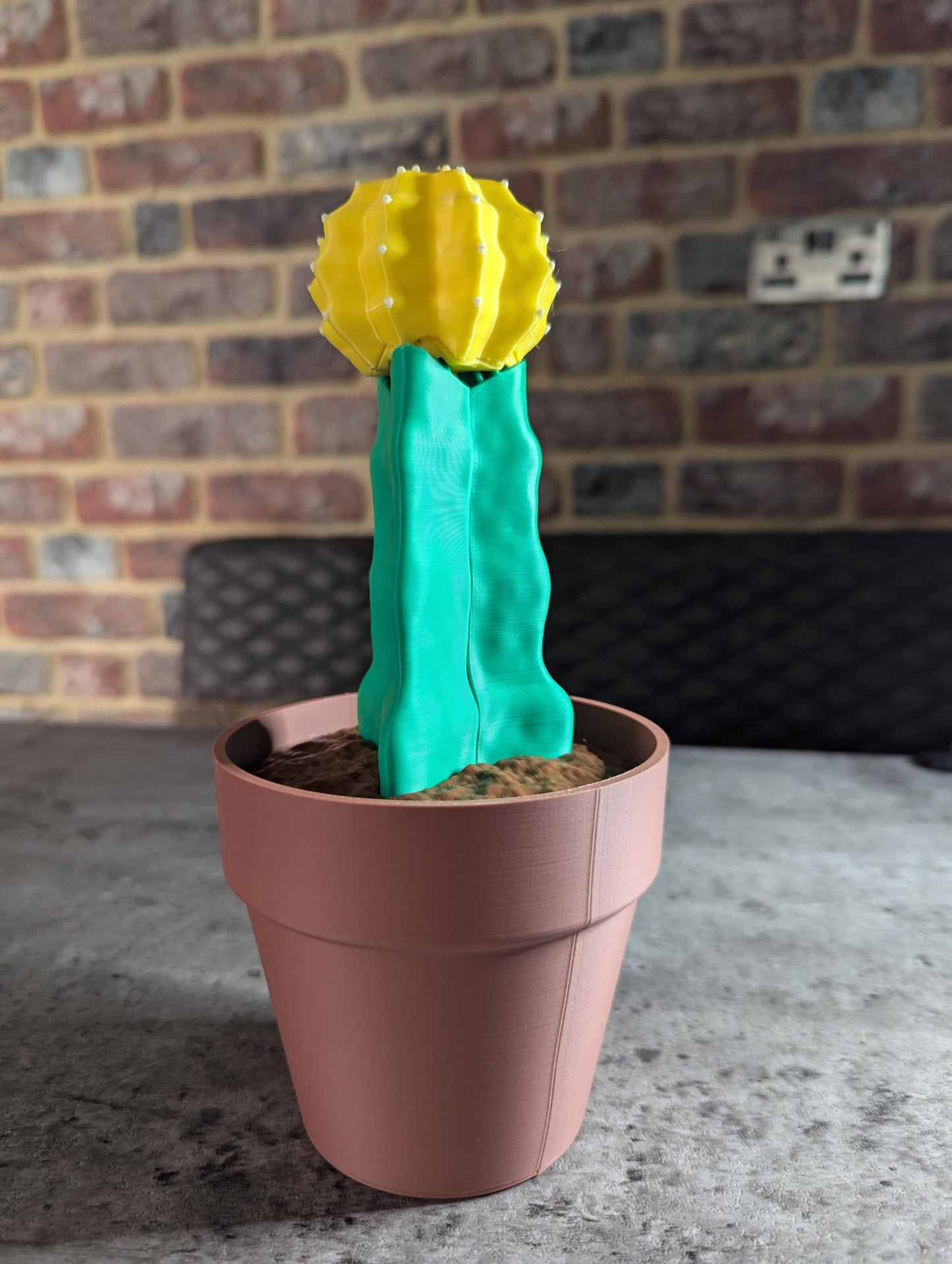 Moon Cactus Phone Holder